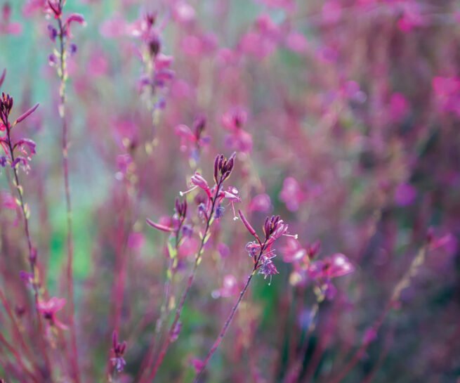 1568x1568px_Naturheilpraxis Meier Ruckstuhl