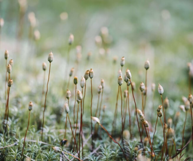 1568x1568px_Naturheilpraxis Meier Ruckstuhl_5