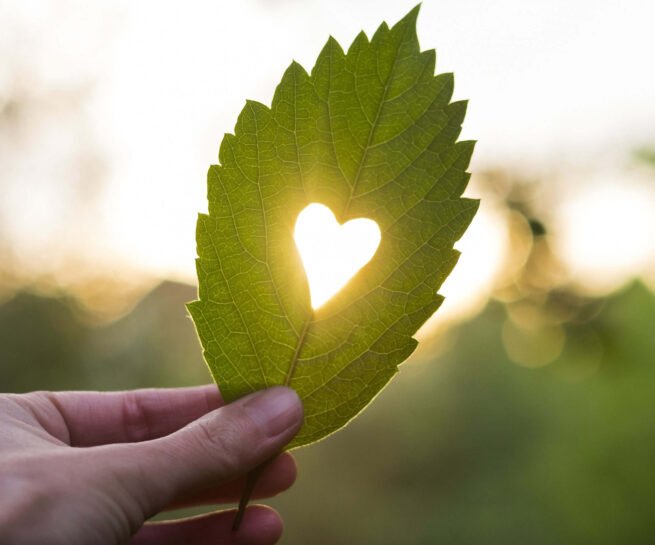 1568x1568px_Naturheilpraxis Meier Ruckstuhl_6